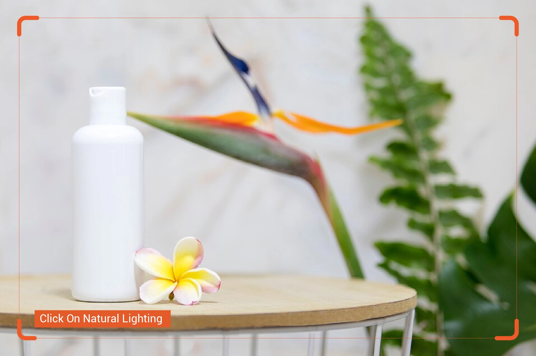 Try to Click on Natural Lighting for amazon product photography