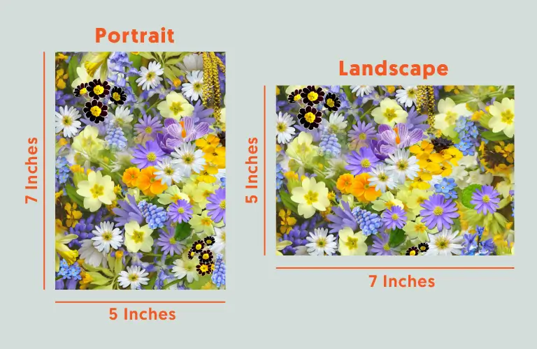 Aspect Ratio and Orientation of 5x7