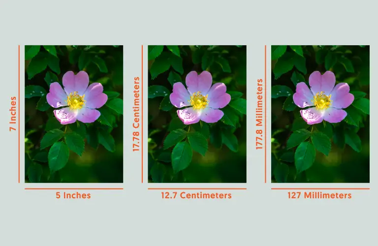  Basic Dimensions 5x7: Inches, Centimeters, Millimeters