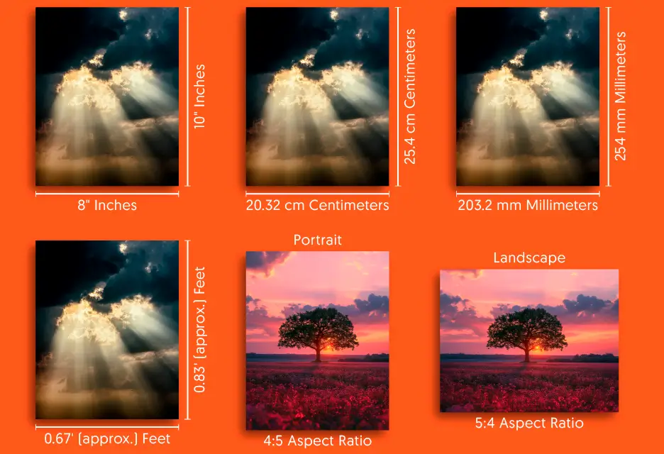 Have a Quick Glance: Know how big is 8x10 photo size