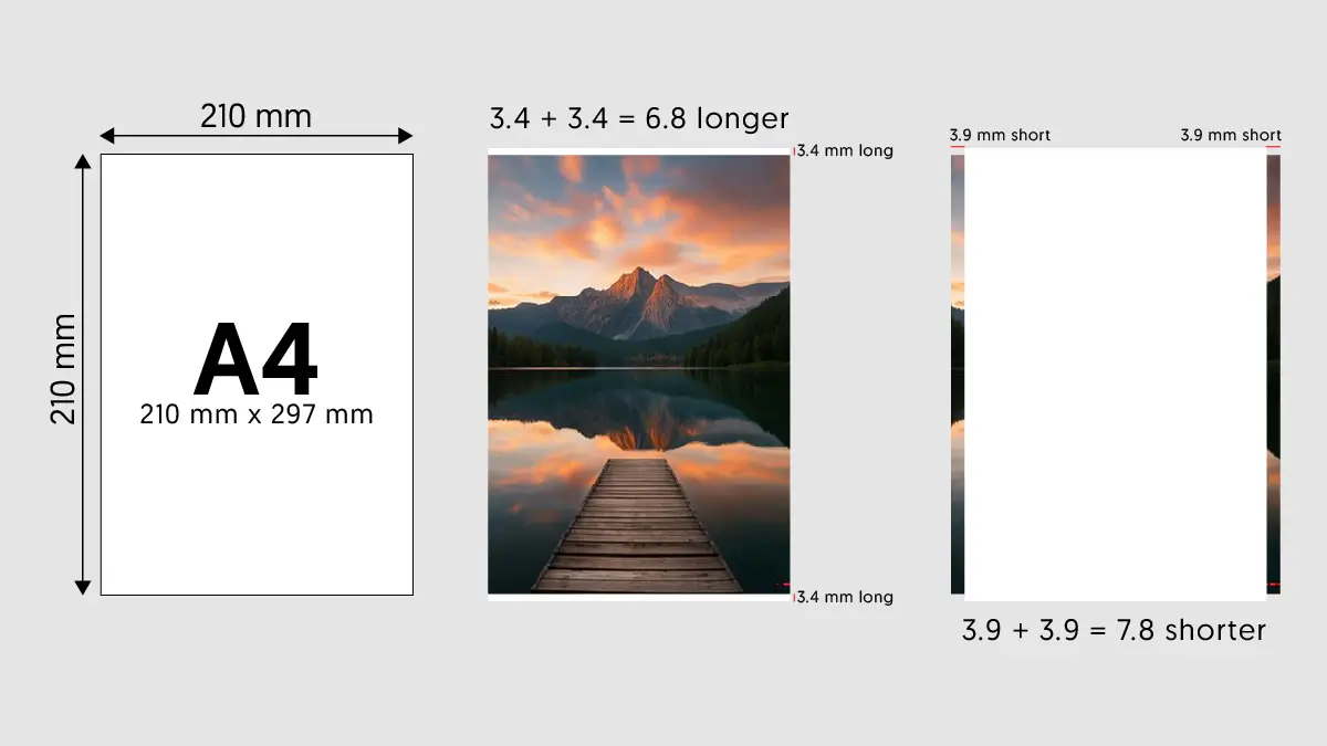 How Big is 8x12 Photo in Size and Resolution: Which Frame It Fits Best in? Best Paper to Print 8x12 Size Photo