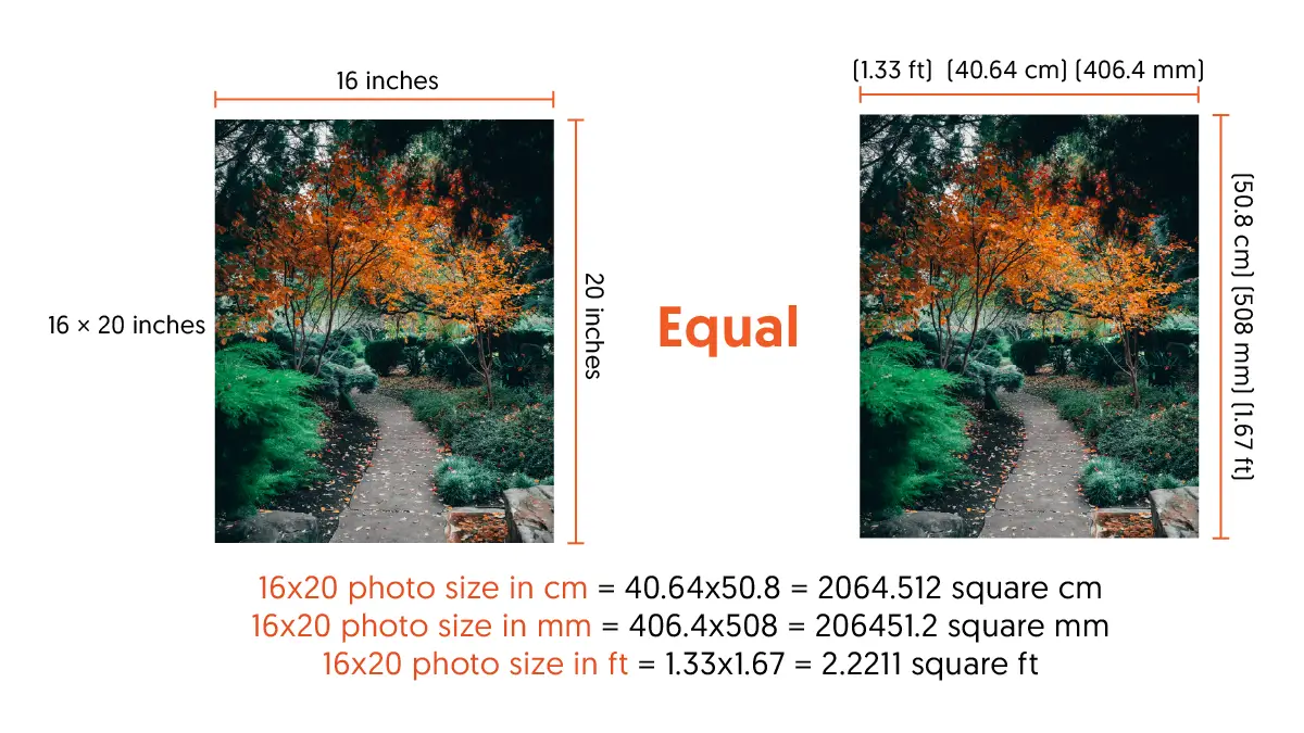 How Big Is a 16x20 Photo: Size, Resolution, Frame, and Shipping How Big Is a 16x20 Photo in Different Scales?